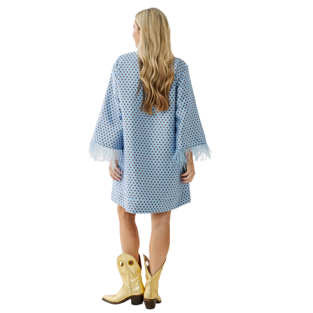 Caryn Lawn Audrey Polka Dot Feather Dress