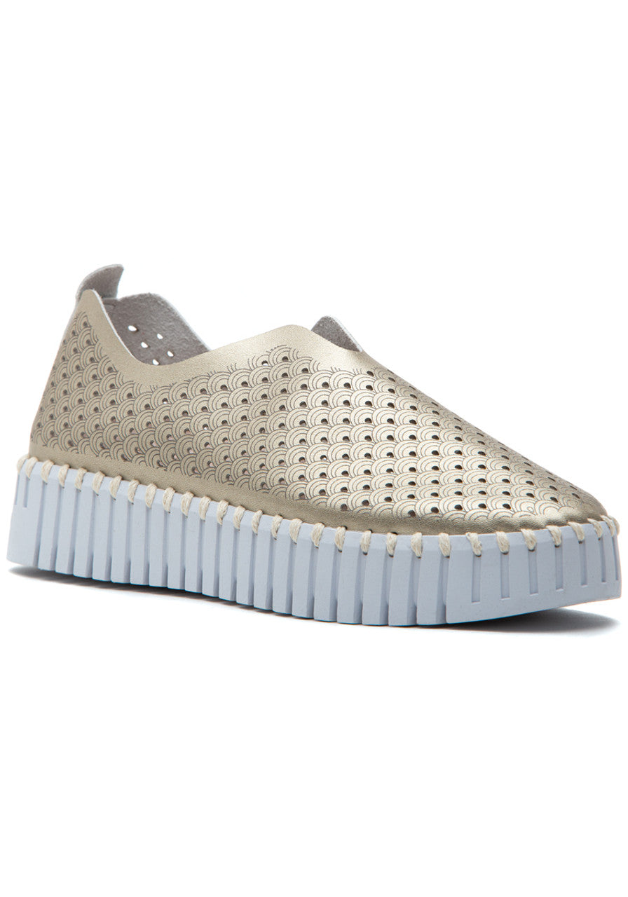Ilse Jacobsen Tulip Platform