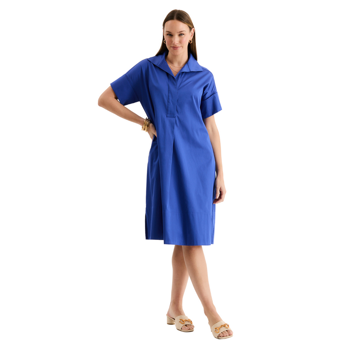 Tyler Boe Addie Midi Shirtdress