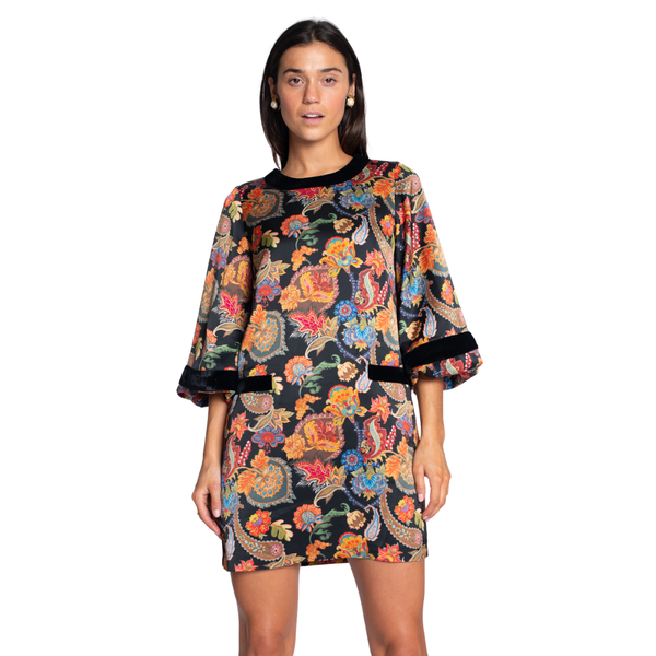 Elizabeth James London Dress Paisley
