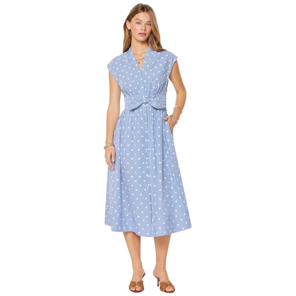 Perry Polka Stripe Dress