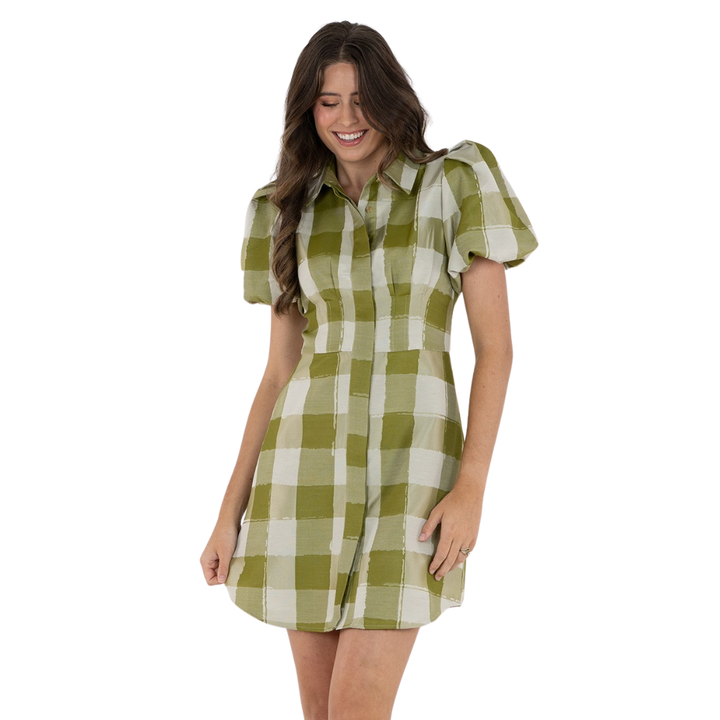 Emily McCarthy Britt Dress Gingham