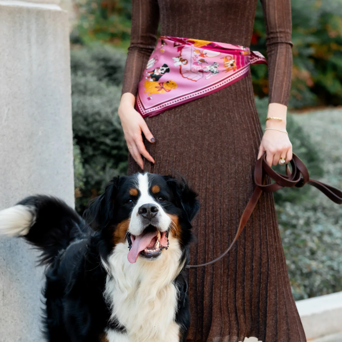 Swells Tails of NYC Dog Scarf