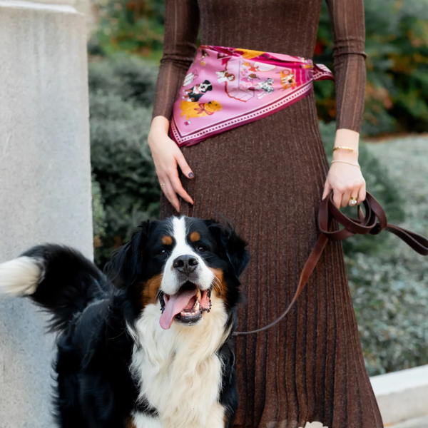 Swells Tails of NYC Dog Scarf