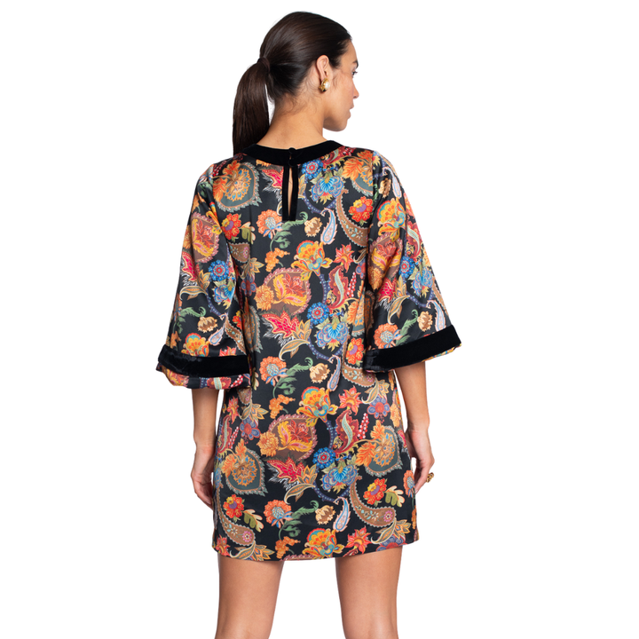Elizabeth James London Dress Paisley