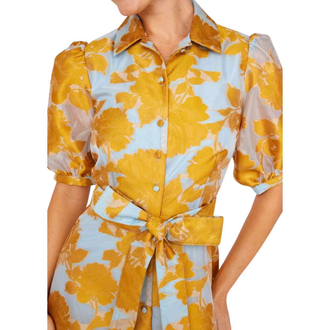 Abbey Glass Charlotte Gown