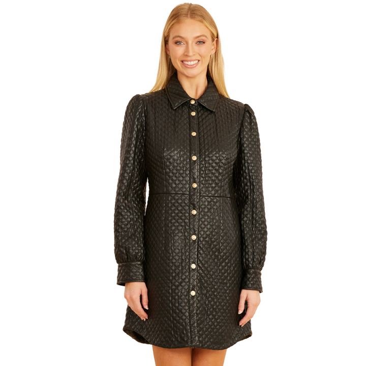 Dolce Cabo Quilted Faux Leather Dress