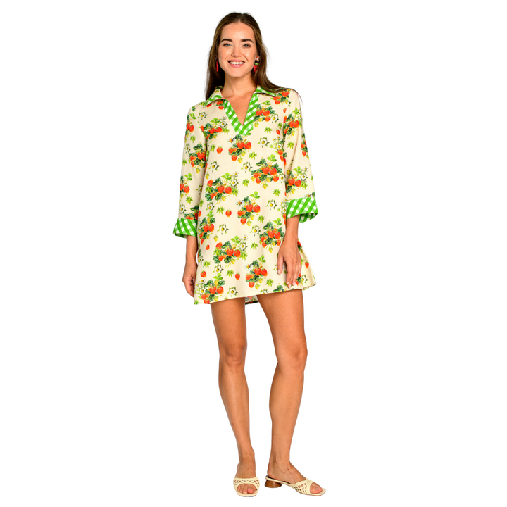 Elizabeth James Taylor Dress Strawberry Garden