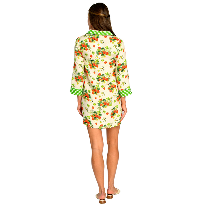 Elizabeth James Taylor Dress Strawberry Garden