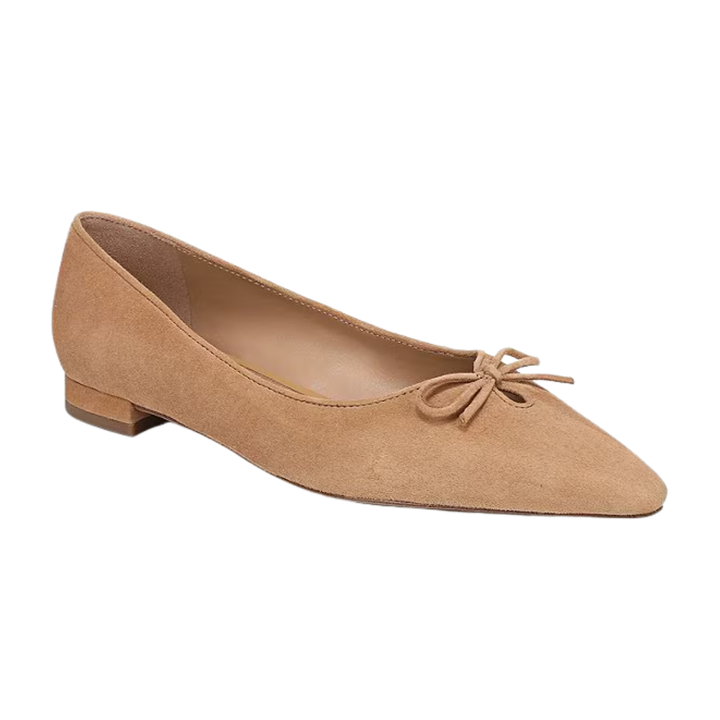 Sam Edelman Esmira Pointed Toe Ballet Flat
